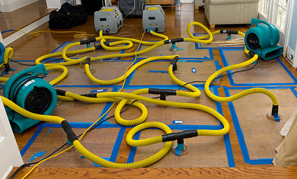 Professional Basement Flood Cleanup technician working in Benge, WA